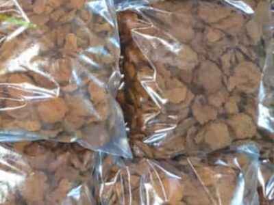 Crunchy Kulikuli Full Paint