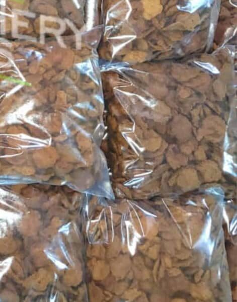 Crunchy Kulikuli Full Paint